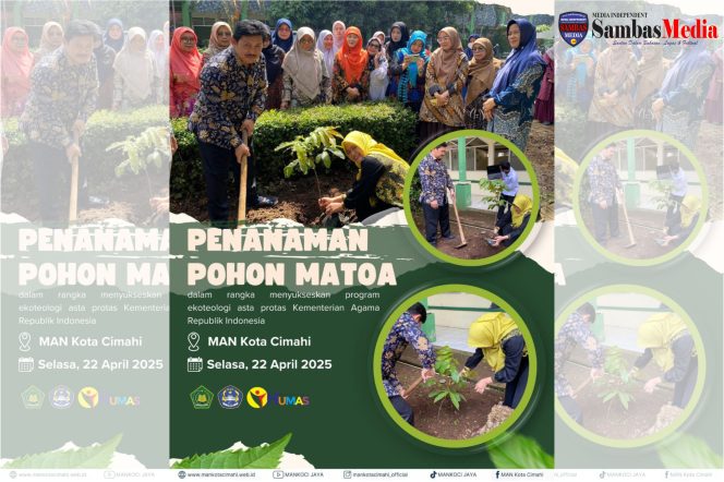 
					MAN Kota Cimahi Tanam Pohon Matoa Sambut Hari Bumi Nasional: Wujud Nyata Asta Protas Ekoteologi Kemenag RI